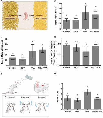 Resveratrol Prevents Cellular and Behavioral Sensory Alterations in the Animal Model of Autism Induced by Valproic Acid